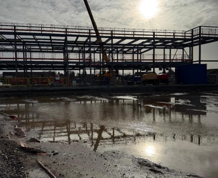 Hopescourt week 16 primary site