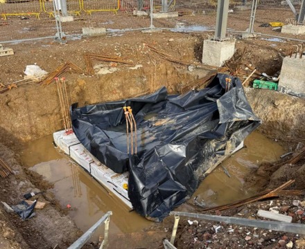 Hopescourt week 16 tranch with Henry the duck